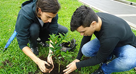 Medio Ambiente